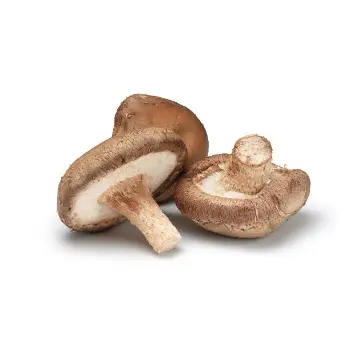 mushroom (2)-6234507-99560.webp